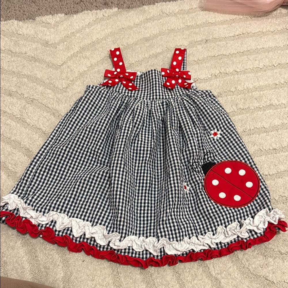 Charming Gingham Ladybug Dress